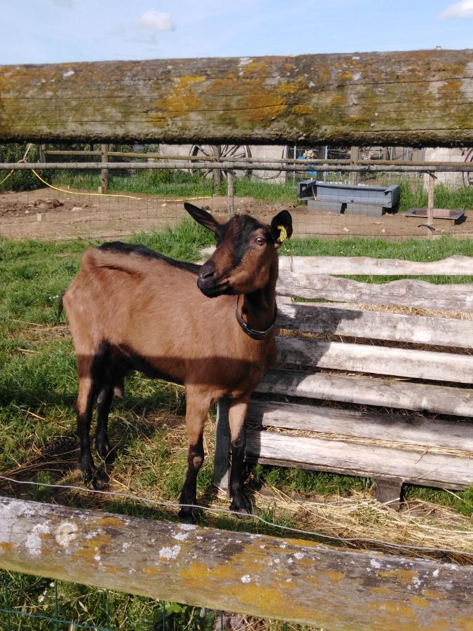 Вилла La Mini Ferme De Maelou Sermaises Экстерьер фото